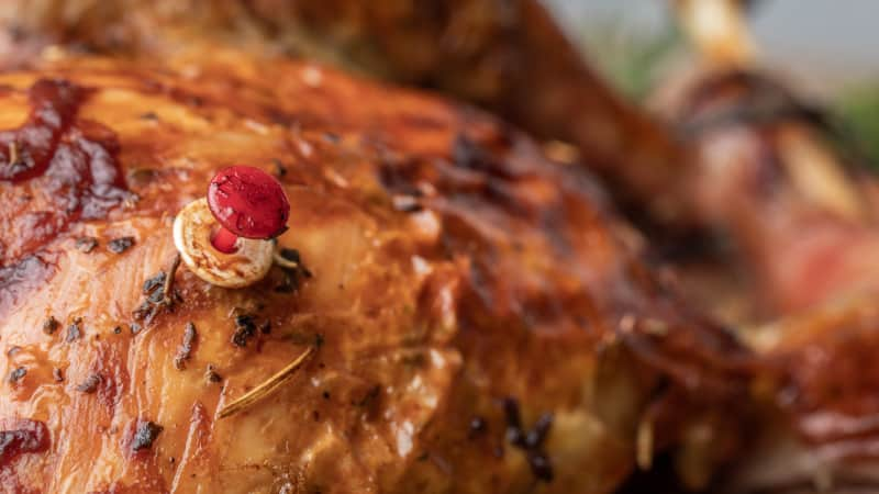 Why You Should Disregard Your Turkey's Pop-Up Thermometer