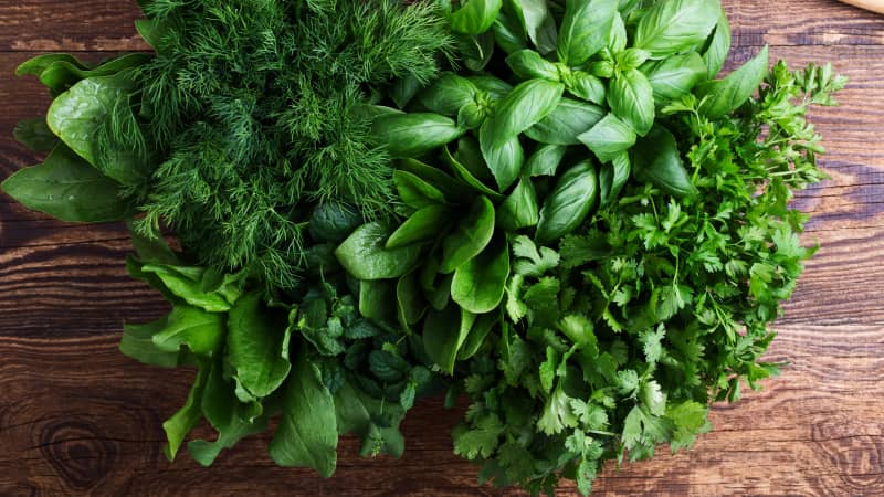 Do You Really Need to Stem Your Herbs? It Depends.