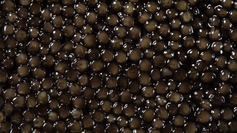 Does It Matter Whether Your Caviar Comes from Wild-Caught or Farmed Fish?