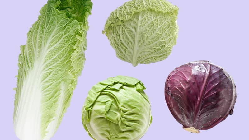 Cabbage: The Most Underrated Vegetable