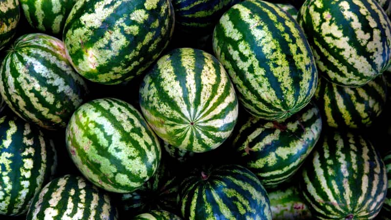 How to Pick a Great Watermelon