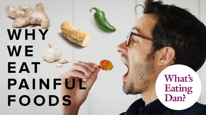 Why Eating Painful Foods Feels So Good | What's Eating Dan? [VIDEO]