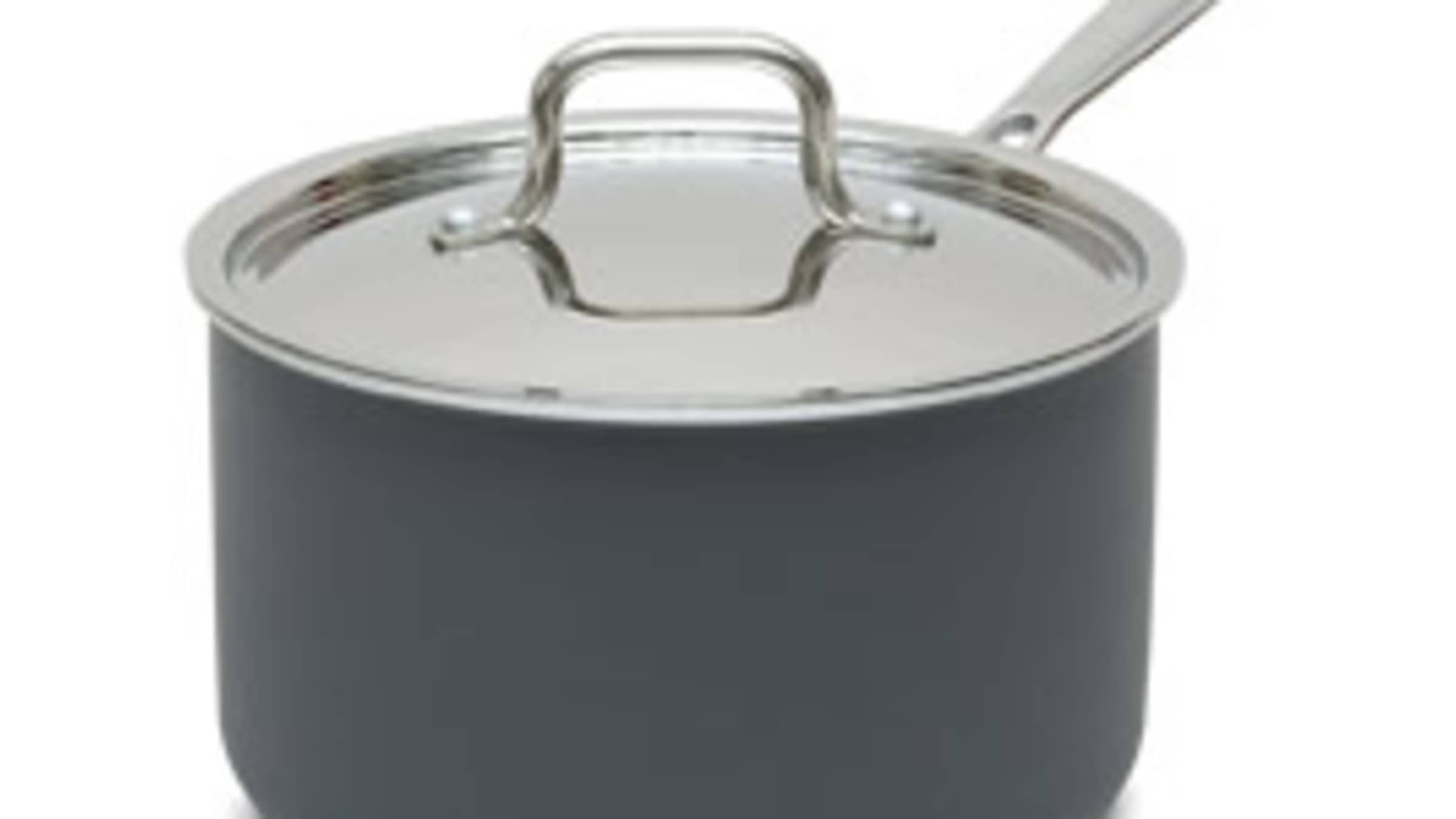 Large Saucepans America's Test Kitchen