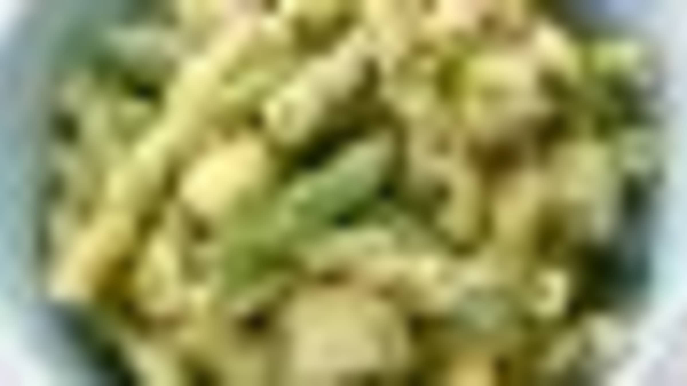 Pasta with Pesto, Potatoes, and Green Beans Cook's Illustrated