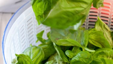 Wilted Spinach Salad With Warm Bacon Dressing