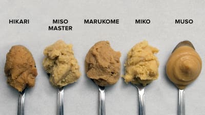 Tasting White Miso Paste Cook S Illustrated