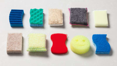 Searching for the Best Kitchen Sponge 