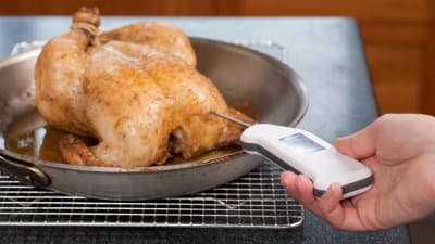 How To Temp Meat With A Digital Thermometer