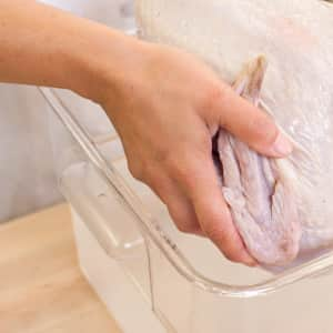 Best Turkey Brining Containers Keep Your Brining Turkey Cold