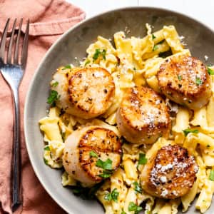 Campanelle with Scallops-image