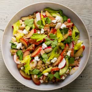 Rhubarb, Celery, and Radish Salad with Feta and Cilantro-image