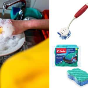 The Best Kitchen Sponge and Scrub Brush I've Ever Used