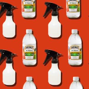 8 things you should never clean with vinegar - CNET