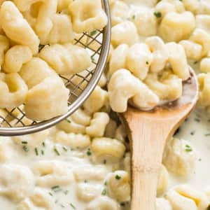 Easy Gorgonzola Cream Sauce — Lauren Lane Culinarian