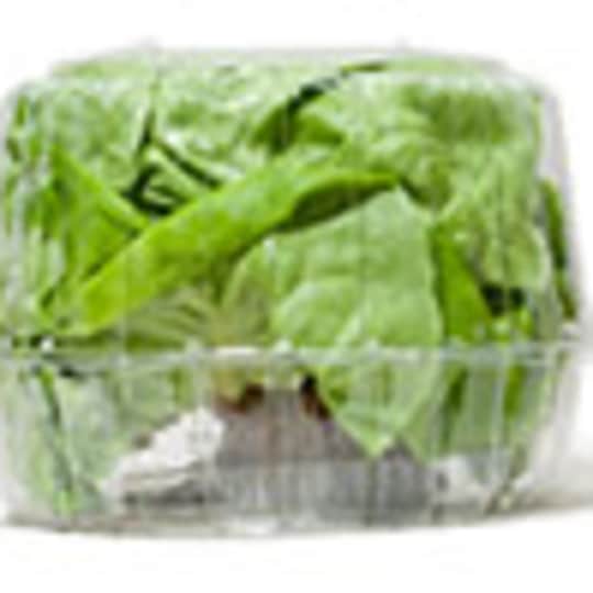 Lettuce Storage Cook's Illustrated