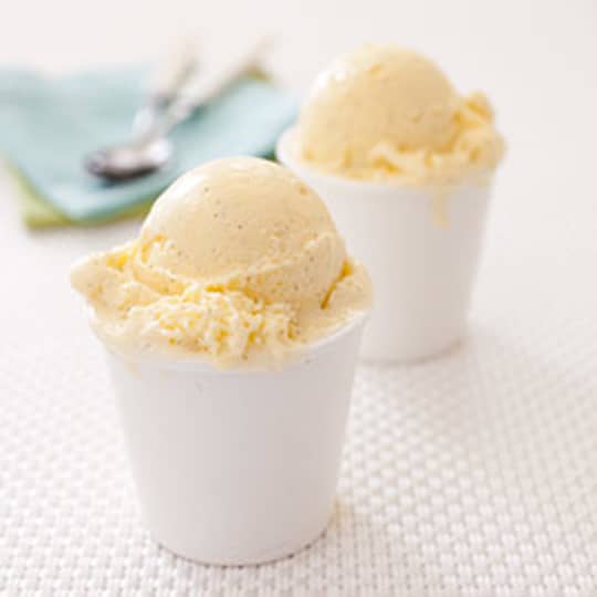 Rich Vanilla Ice Cream Cook S Illustrated
