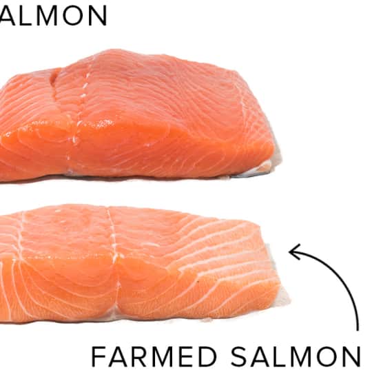 Ideal Doneness Temperature For Wild Salmon Cook S Illustrated