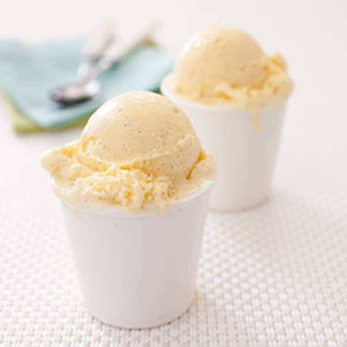 Rich Vanilla Ice Cream Cook S Illustrated