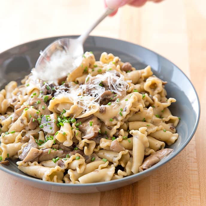 Pasta with Mushroom Sauce | Cook's Country Recipe