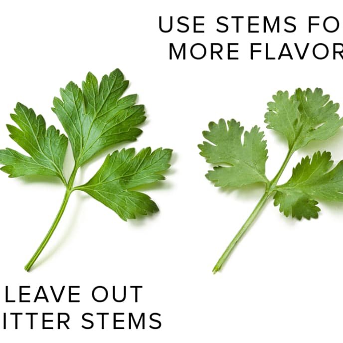 Parsley and Cilantro Stems Cook's Illustrated