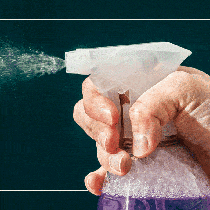 What Is the Difference Between Cleaning, Sanitizing, and Sterilizing