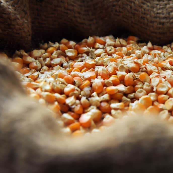 Ask Paul What is the Difference Between Cornmeal, Cornstarch, and Corn Grits? Cook's Illustrated