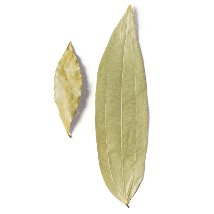 All About Cassia Bay Leaves Cook's Illustrated