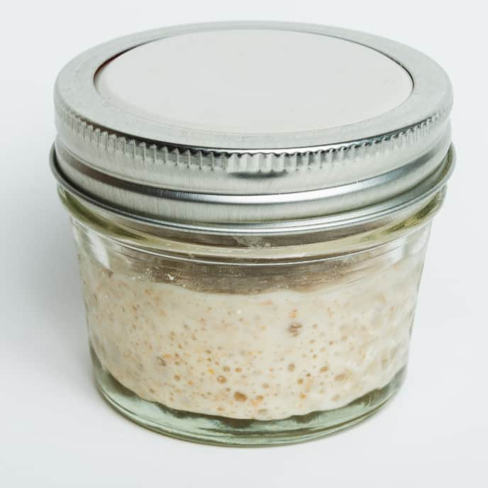 Sourdough Starter