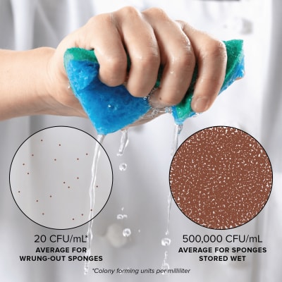 sanitize kitchen sponge