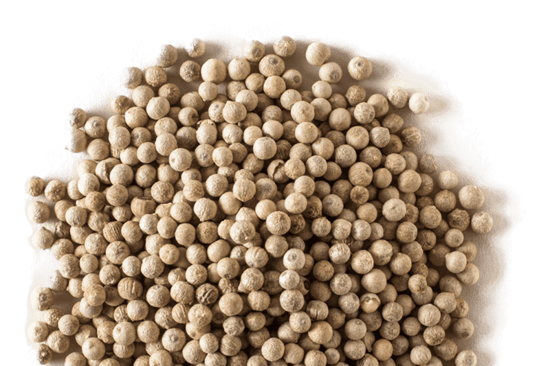 5 Types of Peppercorns You Should Know America's Test Kitchen