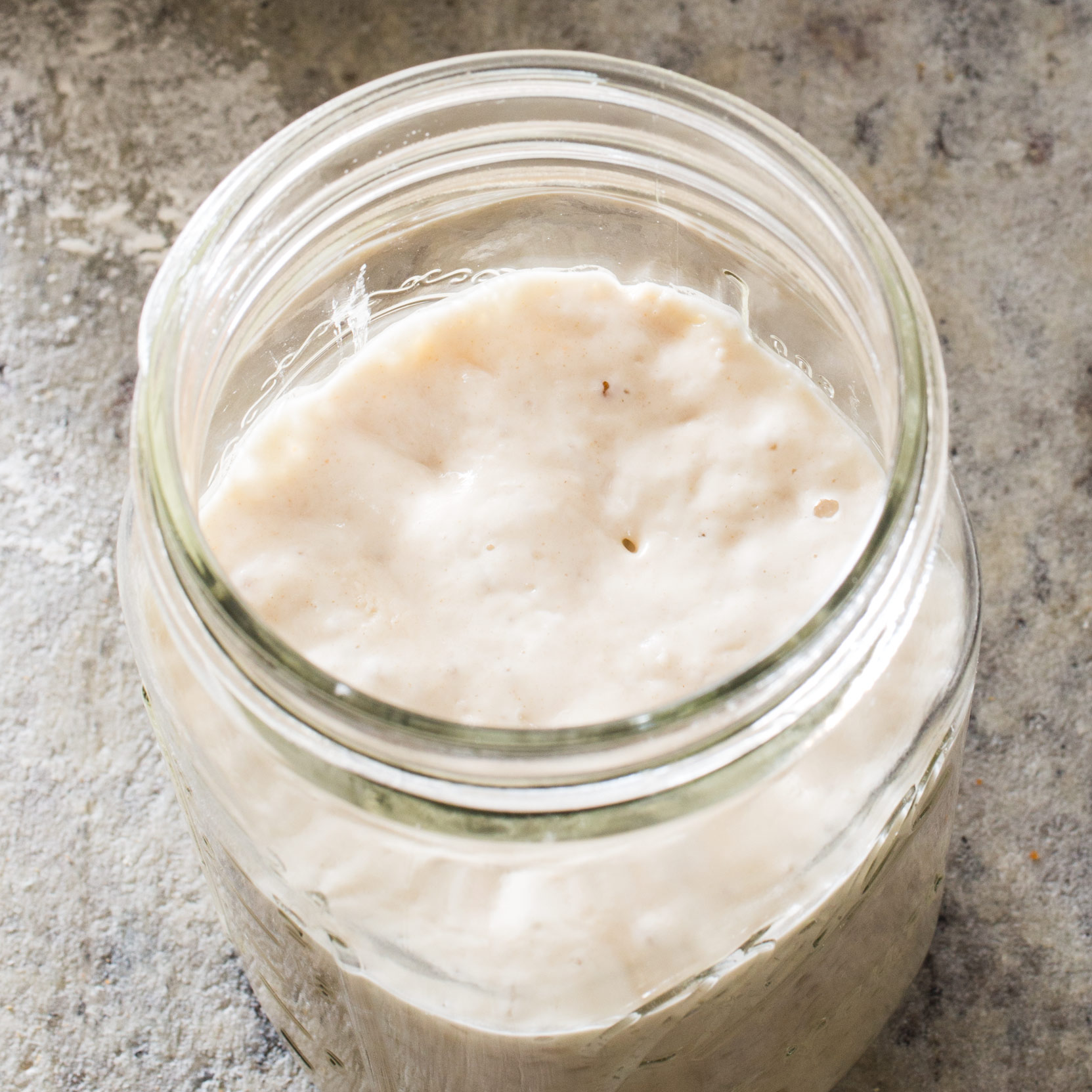 How To Make A Sourdough Starter At Home - Tips, Tricks And Troubleshooting  - Cook Republic