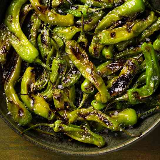 Grilled Shishito Peppers