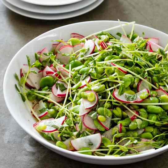 Fava Bean and Radish Salad