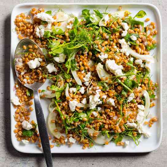 Spelt Salad with Pickled Fennel, Pea Greens, and Mint
