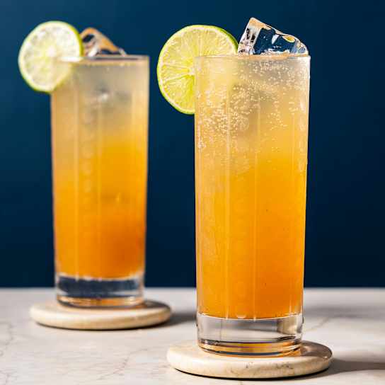 Tamarind and Tonic