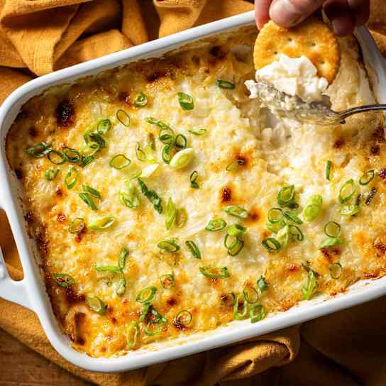 Vidalia Onion Dip
