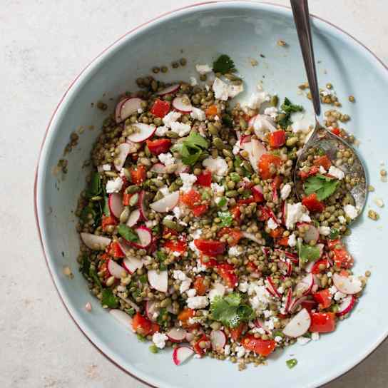 Slow-Cooker Lentil Salad with Radishes, Cilantro, and Pepitas