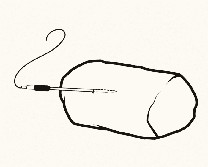 The Proper Way To Use A Probe Cook S Illustrated