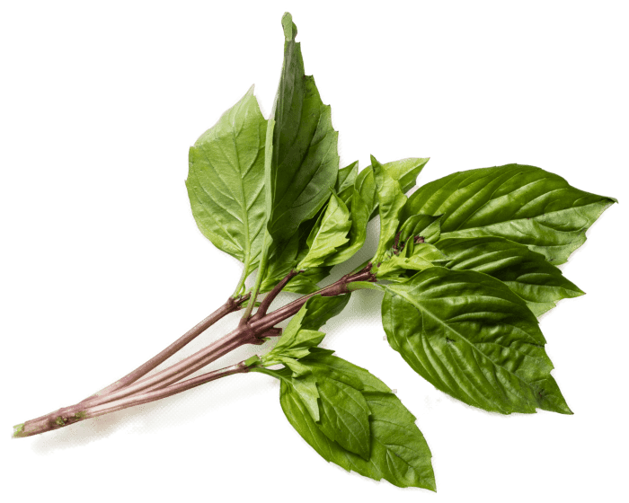 where to buy thai basil near me