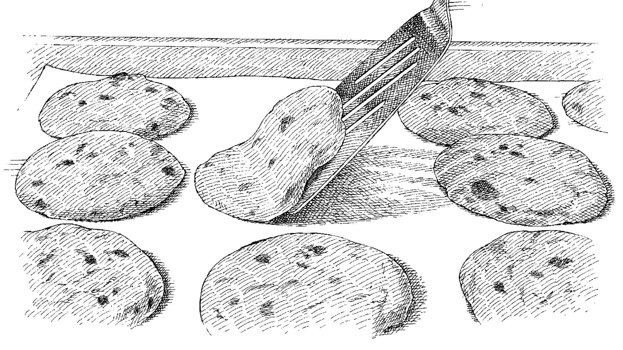 How to Fix 10 Common Cookie Problems Cook's Illustrated