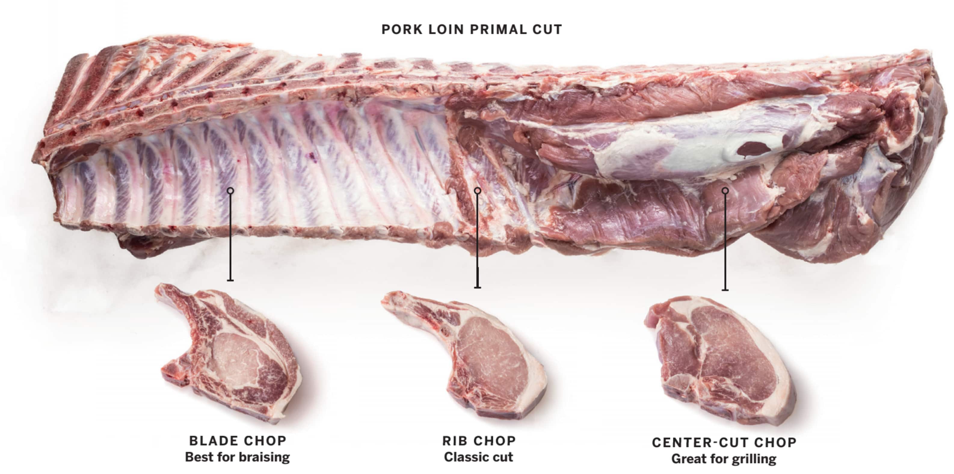Do pork chop bones splinter new arrivals