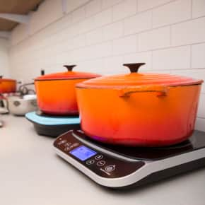 The Best Portable Induction Cooktop (2023), Tested and Reviewed