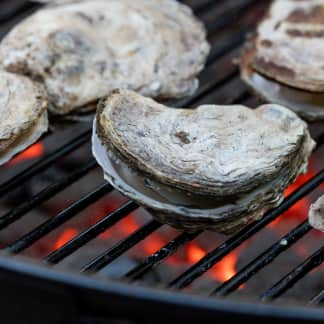 Gas-Grilled Clams, Mussels, or Oysters