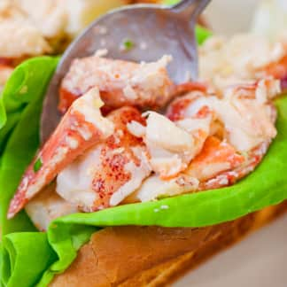 New England Lobster Rolls