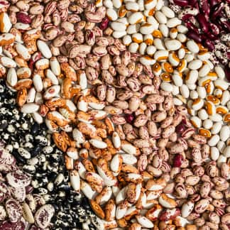 All About Heirloom Beans