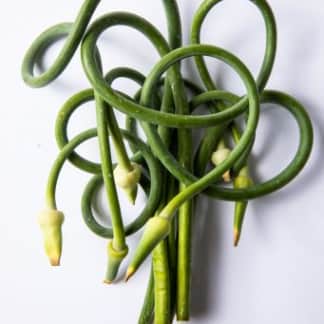 Don’t Miss Out on Fresh Garlic Scapes