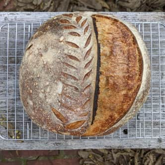 10 Banneton Bread Proofing Basket with Liner – Shop Our Favorites