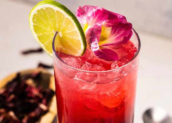Hibiscus-Lime Buck