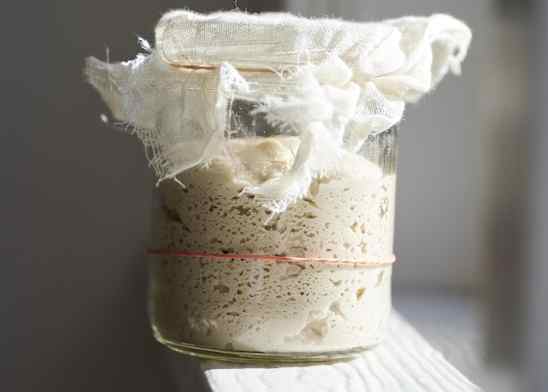 Whole-Grain Brown Rice-Teff Sourdough Starter