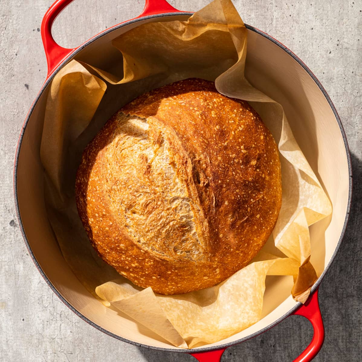 Whole-Wheat Rustic Loaf